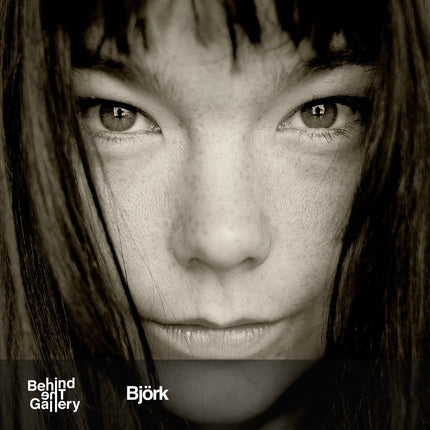 Collection image for: Björk