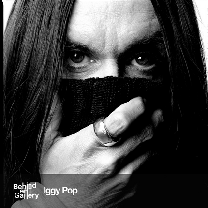 Collection image for: Iggy Pop