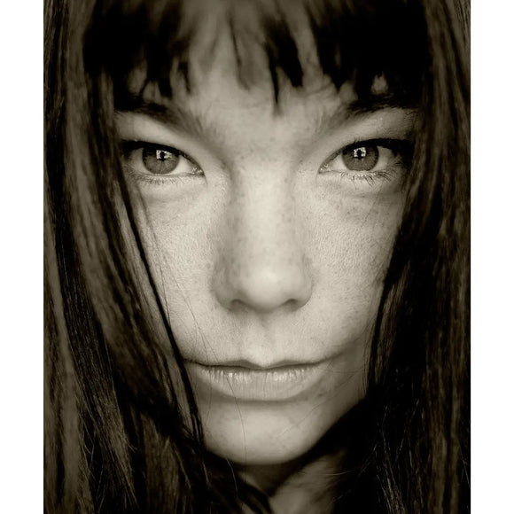 Björk, Portrait 1993 Behind The Gallery behindthegallery
