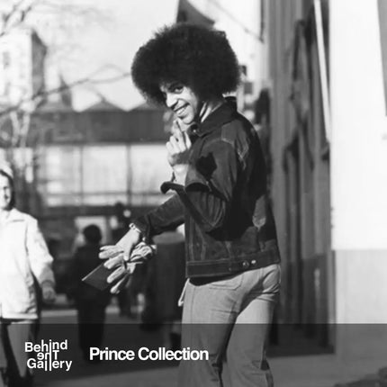 Prince behindthegallery