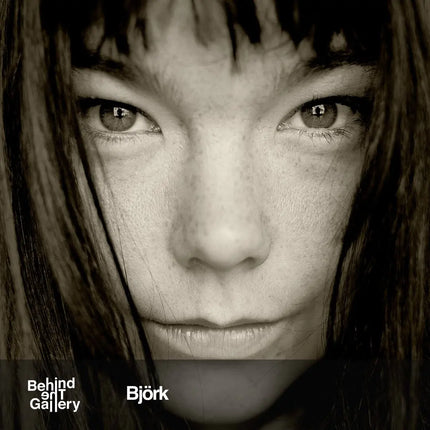 Björk behindthegallery