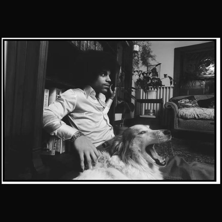Prince With Dog, 1977 Behind The Gallery behindthegallery