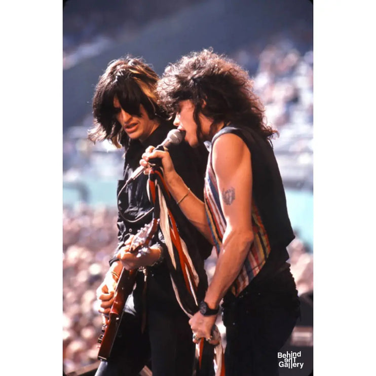 Aerosmith Live 1978 Behind The Gallery behindthegallery