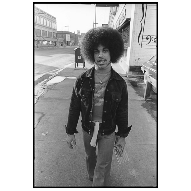 Prince Strutting With A Comb