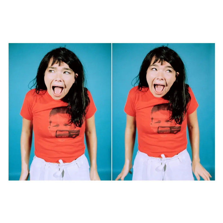 Björk, Los Angeles, 1993 Behind The Gallery behindthegallery