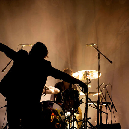 Chris Silhouette — The Black Crowes, photographed by Ross Halfin | Behind The Gallery