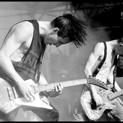 Lollapalooza 1991 Live 2