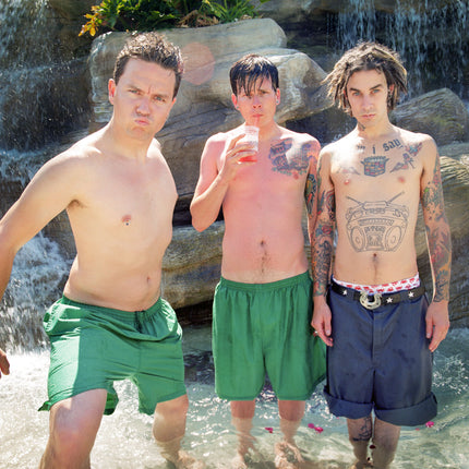 Blink 182 Tampa, 2000, 30 Collection