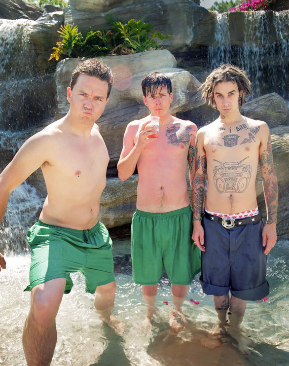 Blink 182 - Coming Soon behindthegallery behindthegallery